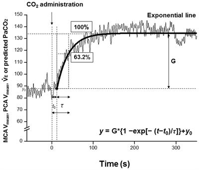 Acute Gravitational Stress Selectively Impairs Dynamic Cerebrovascular Reactivity in the Anterior Circulation Independent of Changes to the Central Respiratory Chemoreflex